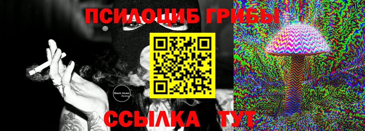 Псилоцибиновые грибы прущие грибы Старый Оскол
